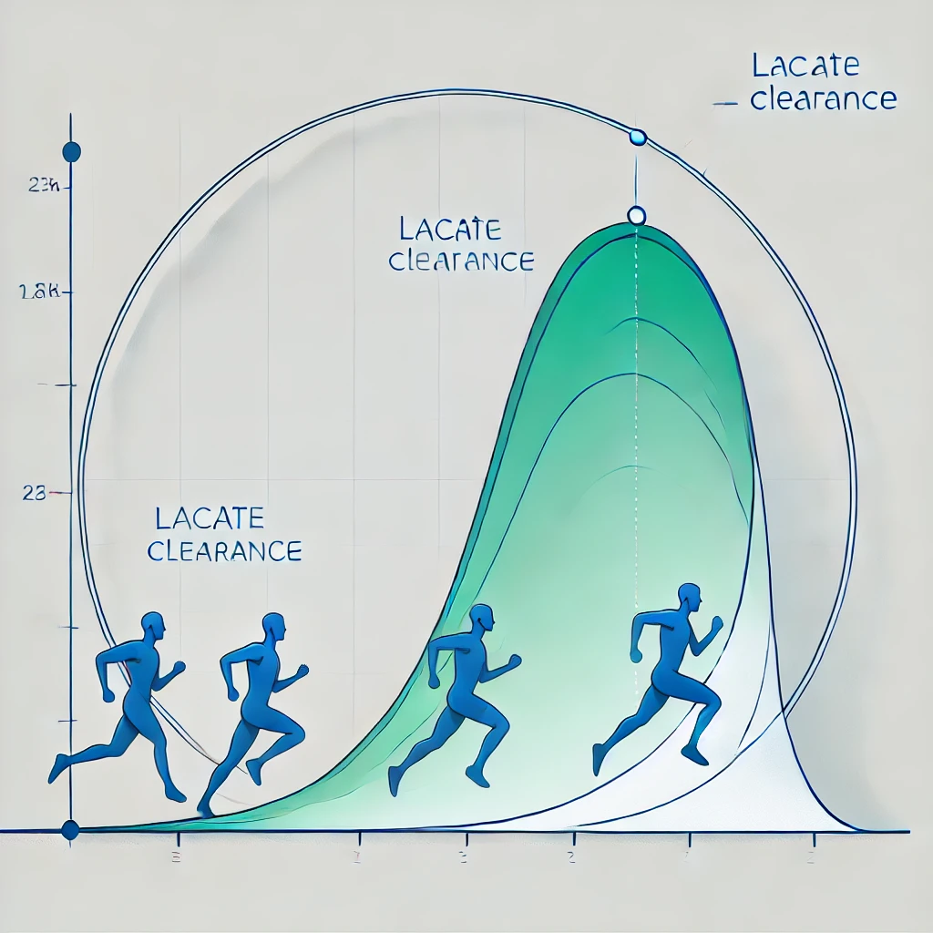Lactate as fuel rather than a cause of fatigue
