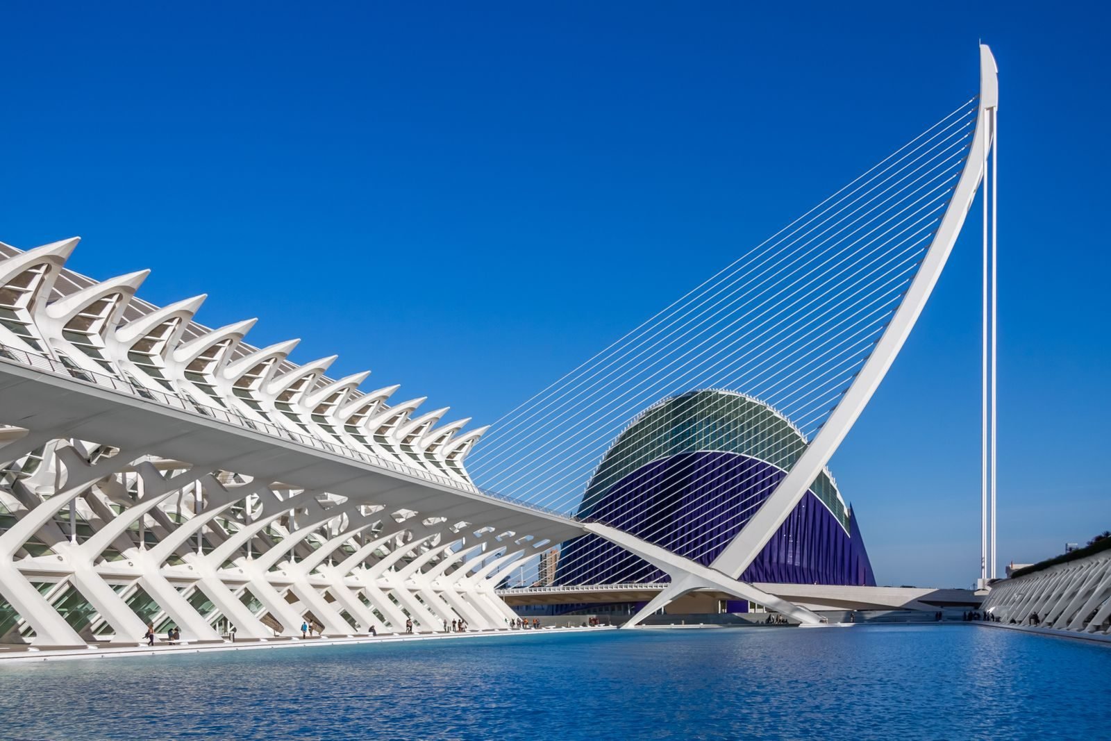 View of the City of Arts and Sciences complex in Valencia