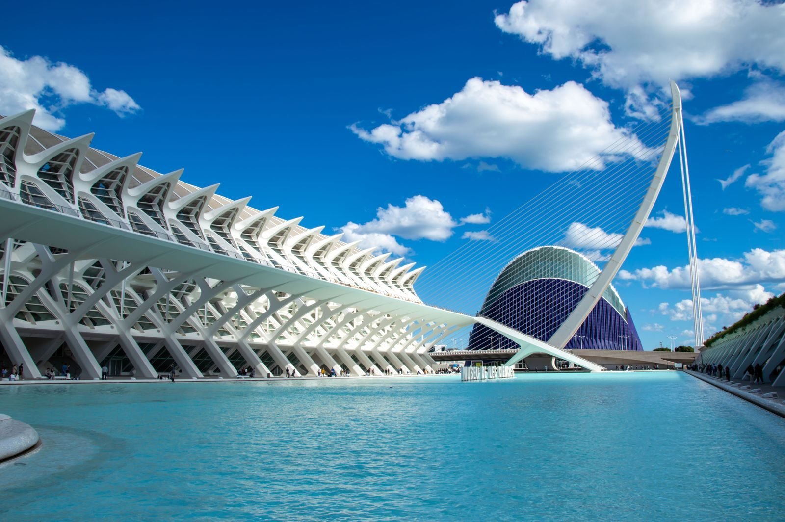 La Ciudad de las Artes y las Ciencias de Valencia con cielo azul