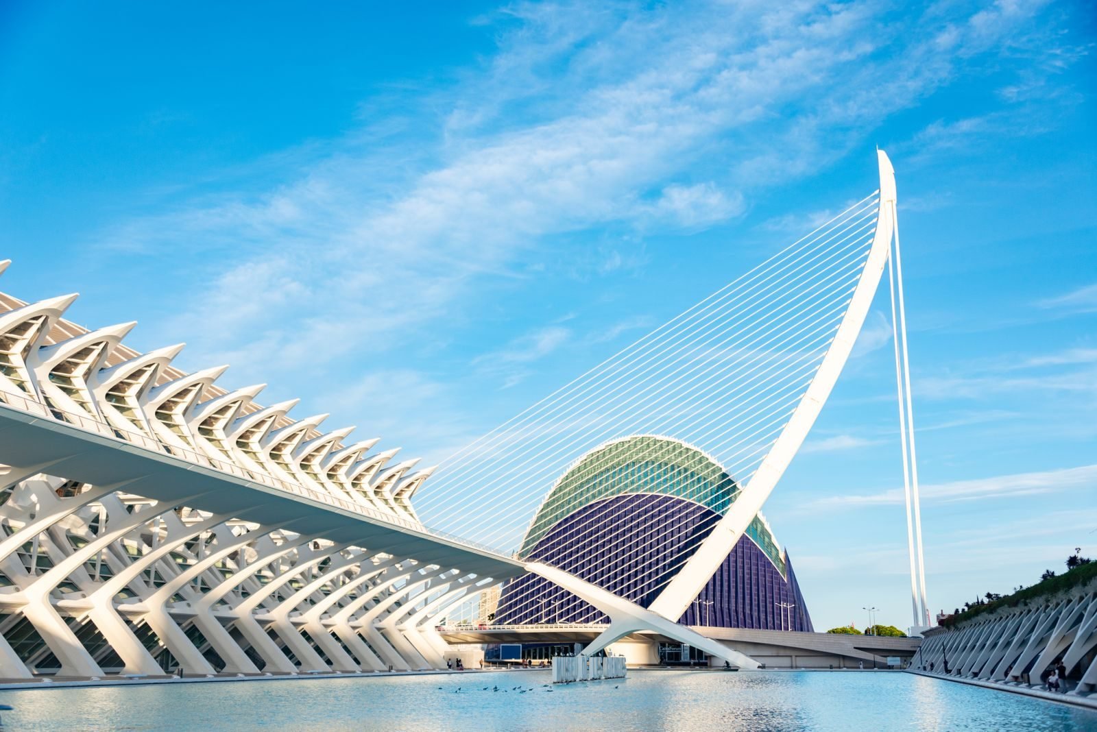 Arquitectura de la Ciudad de las Artes y las Ciencias, junto al recorrido del Maratón de Valencia