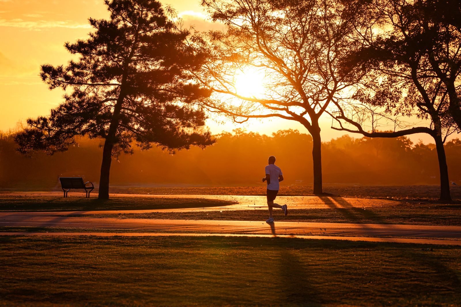 Silhouette of a runner at sunrise in a park, a typical time for fasted running