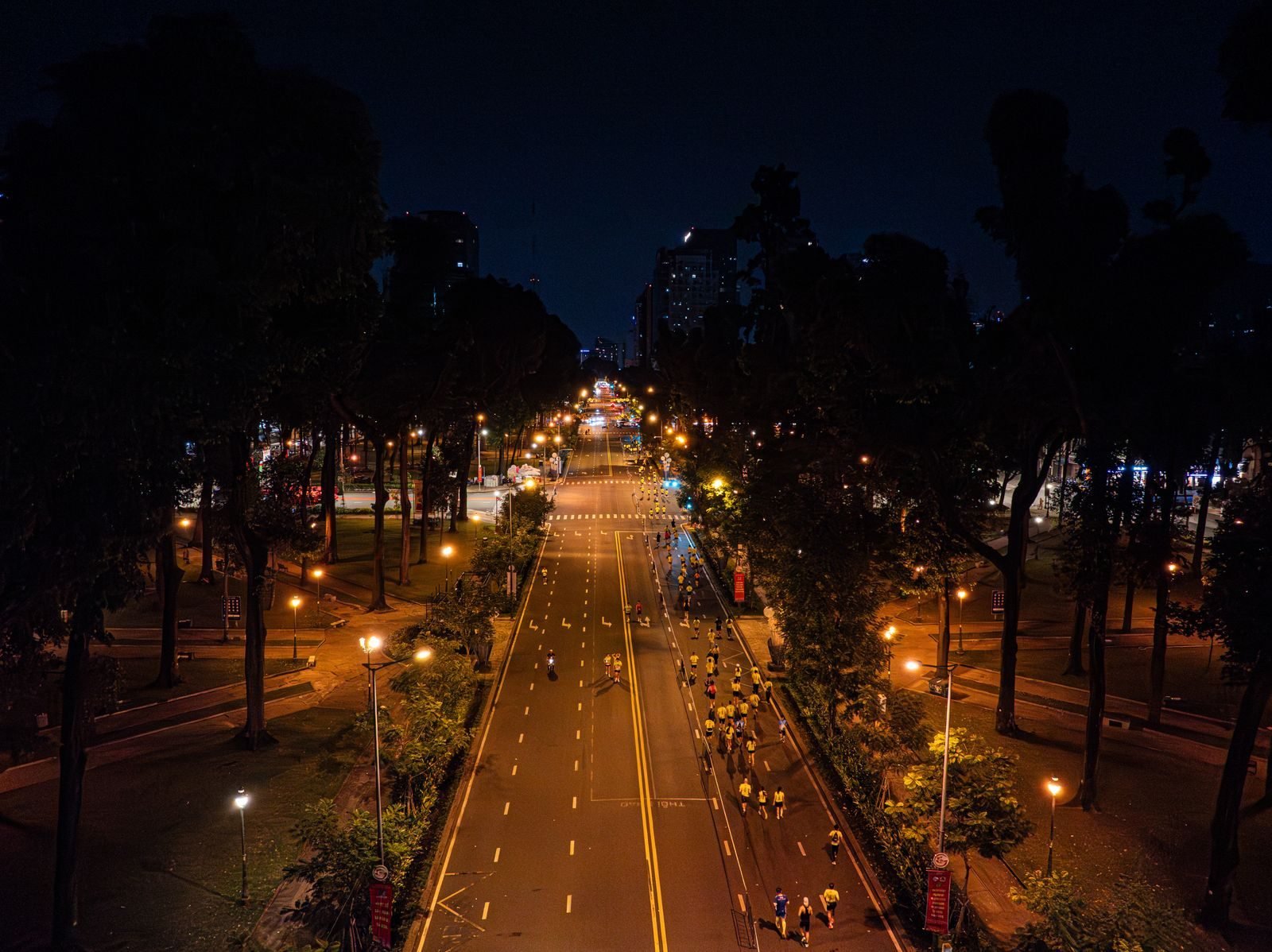 Night race along a lit, tree-lined avenue