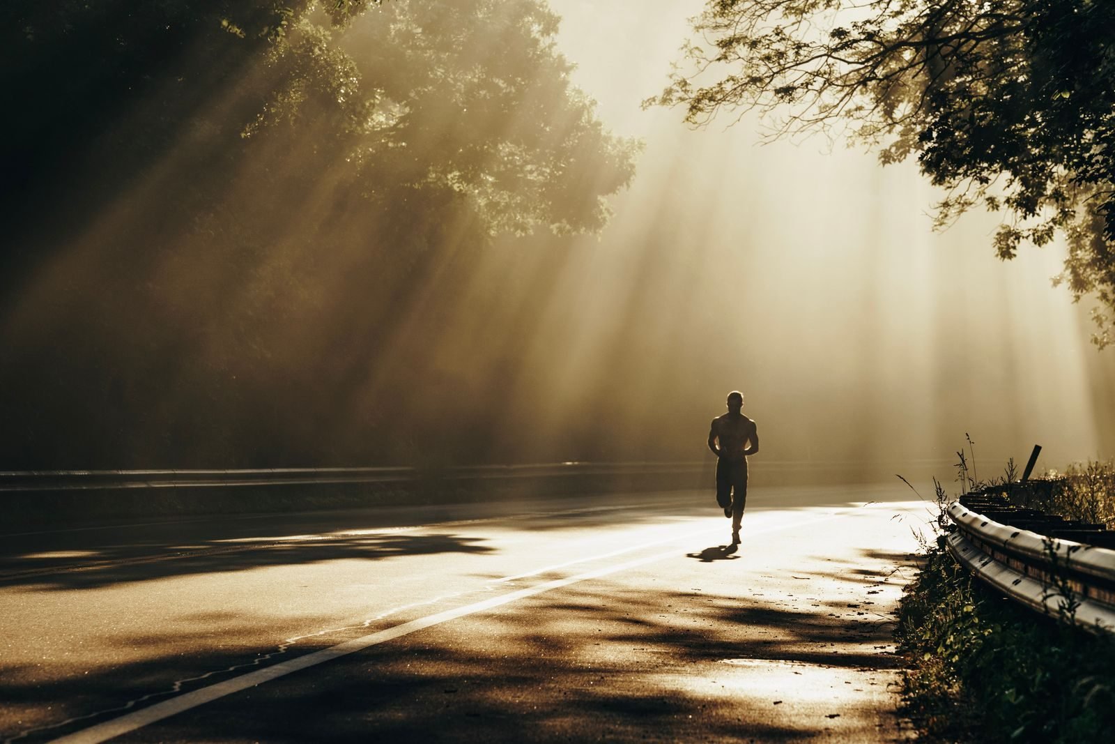 Runner on a sunlit forest road during a progression run