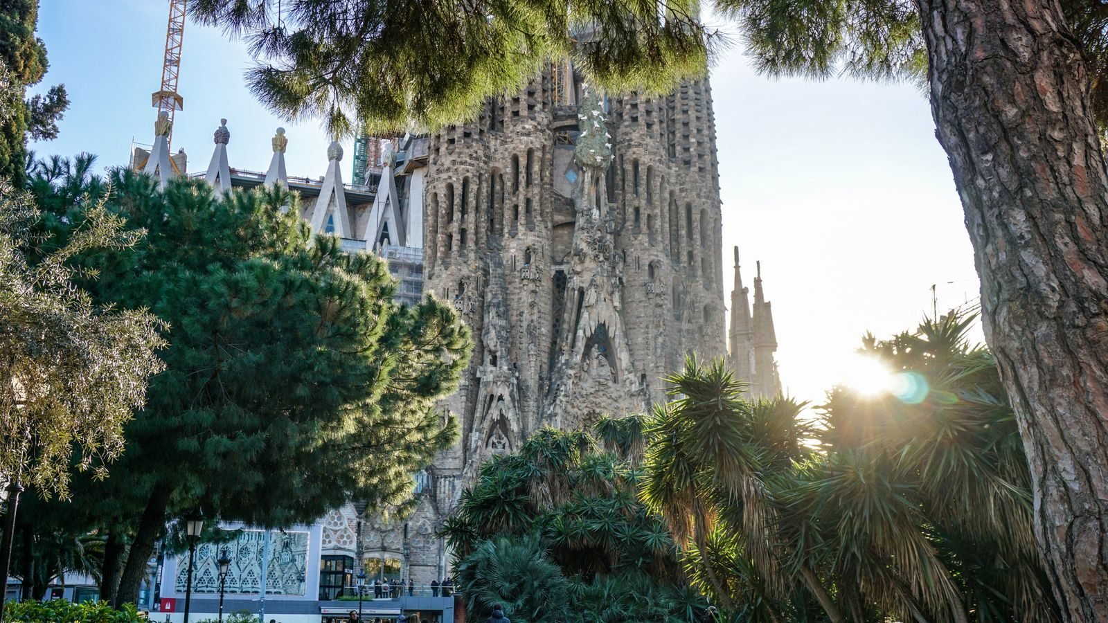 Sagrada Familia rodeada de árboles, en la ciudad de la Marató de Barcelona