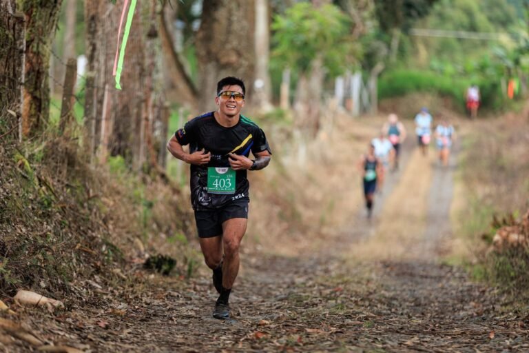 Trail runner with a bib climbing a path between trees, illustrative photo for Trail Montroig 2026
